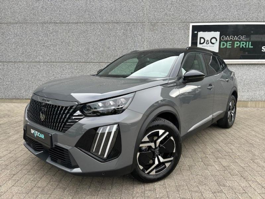 53038081