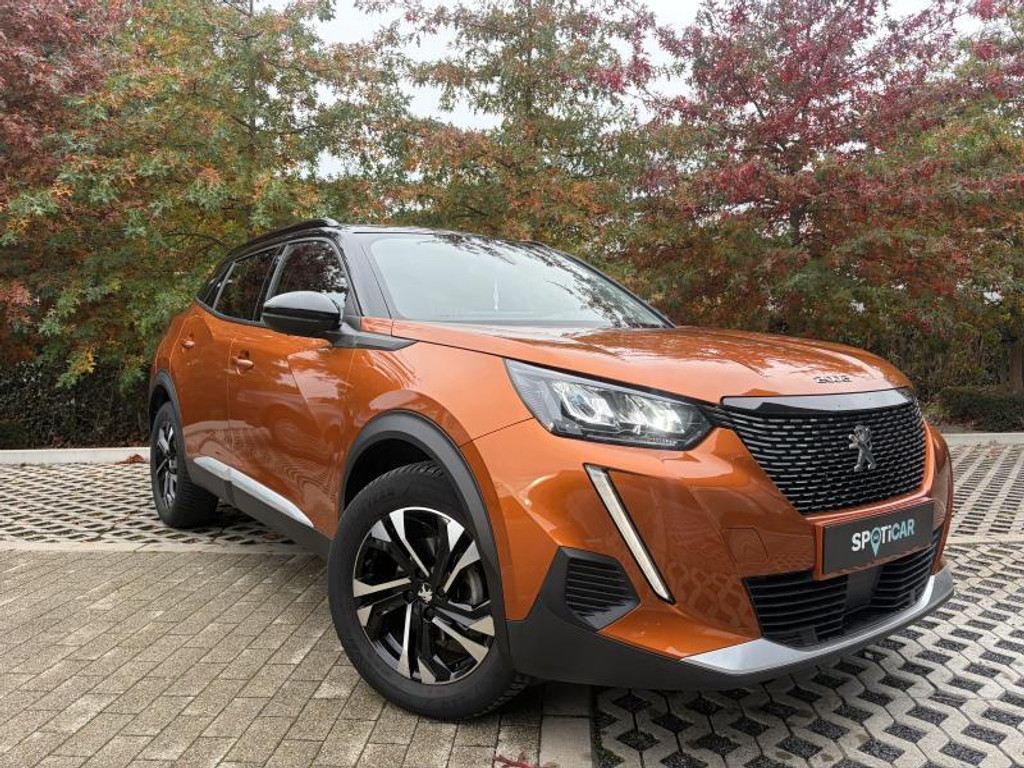 57583080-3.jpg